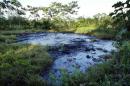 TEXACO OIL WASTE PIT IN THE AMAZON.