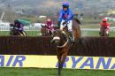 Cue Card ridden by Joe Tizzard (2R) jumps the last fence to win the Ryanair Steeple Chast during the third day of the Cheltenham horse racing festival in Gloucestershire, England on March 14, 2013