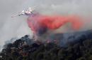 A plane sprays fire extinguisher as part of an attempt to struggle against a fire which has already devastated some 200 hectares in Vitrolles, southern France on August 10, 2016