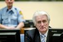 UN judges at the International Criminal Tribunal for the former Yugoslavia (ICTY) found Radovan Karadzic guilty on 10 charges of genocide, war crimes and crimes against humanity for his role in the 1990s Bosnian war