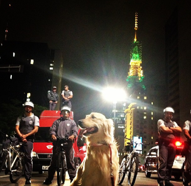 Um olhar canino sobre São Paulo [+esse tópico sim é bom][+cachorro][-cachorron] Cao-passeador11