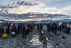 The number of people who have been forced to flee war, &hellip;