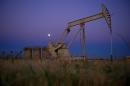 An oil well near Tioga, North Dakota, August 21, 2013