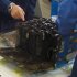In this Jan. 26, 2013 photo provided by the Japan Transport Safety Board (JTSB), the distorted main lithium-ion battery of the All Nippon Airways' Boeing 787 which made an emergency landing, in dismantled by the investigators at its manufacturer GS Yuasa's headquarters in Kyoto, Japan. An investigation into the battery that overheated on the Boeing flight in Japan on Jan. 16, 2013 found evidence of the same type of "thermal runaway" seen in a similar incident in Boston, officials said Tuesday, Feb. 5, 2013. (AP Photo/Japan Transport Safety Board) EDITORIAL USE ONLY, NO SALES