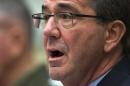 Defense Secretary Ash Carter testifies on Capitol Hill in Washington, Tuesday, March 22, 2016, before the House Armed Services Committee hearing on the Defense Department's fiscal 2017 budget request. (AP Photo/Evan Vucci)