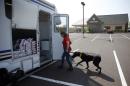 In this Thursday, May 8, 2014 photo, Paula Hackett, of Harleysville, Pa., leads her dog Tosey, a 5-year-old Great Dane, into the University of Pennsylvania veterinary school's animal bloodmobile in Harleysville, Pa. The university operates the bloodmobile around the city to raise awareness and make it easier to garner canine blood donations. (AP Photo/Matt Slocum)