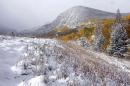 Fresh snow covers a roadside where Aspen trees turn yellow each Autumn, near Frisco, Colo., Friday Oct. 4, 2013. Powerful storms moved into the Midwest on Friday due to a cold weather system gaining strength as it traveled east from Colorado and Wyoming. (AP Photo/Brennan Linsley)