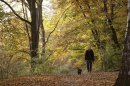 A woman and her dog walk along trees during a sunny autumn day in a park at Berlin's Wilmersdorf district