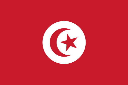 معاني أعلام البلدان العربية C57a5408-5829-43eb-bf8a-38fa33961a55_tunisia