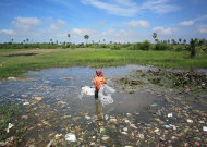 2012最新研究：全球1.25億人承受環境毒物污染
