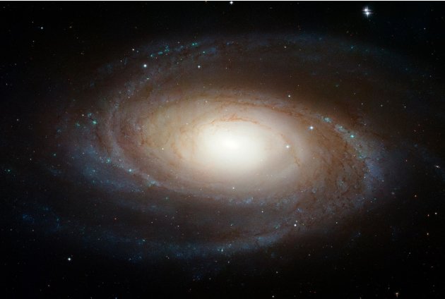 La galassia M81, a 11 milioni di anni luce da noi. Una distanza che solo l'occhio elettornico di Hubble può colmare senza fatica ( o quasi)
