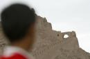 An boy looks at the Bam citadel on June 11, 2005, in Bam, Iran