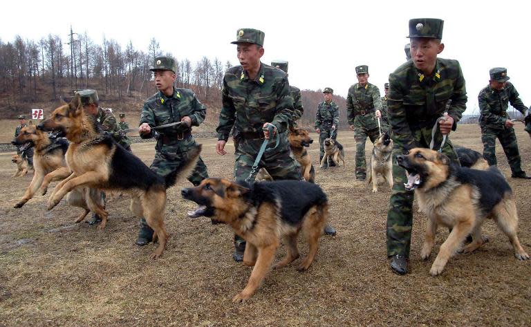 Dogs ripped kids to pieces in N.Korean camp: ex-guard