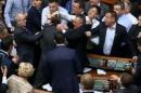 Raw: Brawl Erupts in Ukraine's Parliament