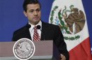 Mexico's President Enrique Pena Nieto delivers a speech during the inauguration ceremony of the Forum Mexico 2013: Public Policies for Inclusive Development, at Centro Banamex in Mexico City
