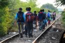 Some 102,000 migrants have entered the EU via Macedonia, Serbia, Bosnia and Herzegovina, Albania, Montenegro or Kosovo between January and July this year, according to EU border agency Frontex