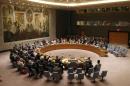 The United Nations Security Council unanimously votes on a resolution authorizing humanitarian aid access into rebel-held areas of Syria, during a United Nations Security Council meeting at U.N. headquarters in New York
