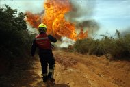 Más de un centenar de personas, entre bomberos y personal de la Corporación Nacional Forestal (Conaf), trabajan en el control de las llamas que se iniciaron el jueves y que presentan un comportamiento errático motivado por el fuerte viento que azota la zona. EFE/Archivo