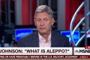 Libertarian candidate Gary Johnson: 'What is Aleppo?'