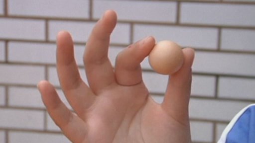 Cina, gallina depone uovo minuscolo, più piccolo di quelle di quaglia