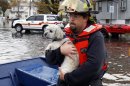 Photos: Pets rescued from the superstorm