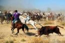 A horseman stabs a bull with a spear during the 'Toro de la Vega' festival in Tordesillas on September 17, 2013