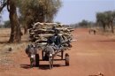 A Malian transports wood with a donkey cart on the road between Timbuktu and Douentza