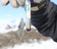 Foto da Northeastern University mostra presquisador segurando amostra de sangue de mamute nesta quarta-feira (29)