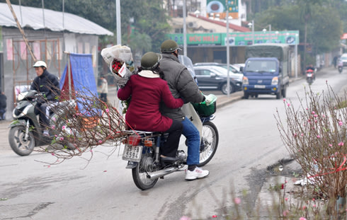 Hoa đào bán sớm trong tiết rét đậm ở Hà Nội