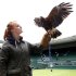 Imogen Davis poses for a photograph with Rufus, a Harris Hawk used at the Wimbledon Tennis Championships to scare away pigeons, in London