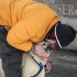 Champion Martin Buser kisses one of his dogs before the re-start of the Iditarod dog sled race in Willow