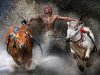 In this photo provided on Friday Feb. 15, 2013 by World Press Photo, the 1st prize Sports – Sports Action Single by Wei Seng Chen, Malaysia, a jockey, his feet stepped into a harness strapped to the bulls and clutching their tails, shows relief and joy at the end of a dangerous run across rice fields. The Pacu Jawi (bull race) is a popular competition at the end of harvest season keenly contested between villages in Batu Sangkar, West Sumatra, Indonesia, Feb. 12, 2012. (AP Photo/Wei Seng Chen)