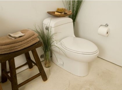 10 thói xấu của đàn ông gây hại cho sức khỏe Toilet