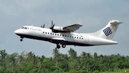 Indonesian plane wreckage found