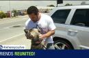KNOW AND TELL: Bay Area vet reunited with his military K9