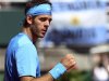 Del Potro of Argentina reacts after winning the first set during singles their Davis Cup World Group match against Stepanek of Czech Republic in Buenos Aires
