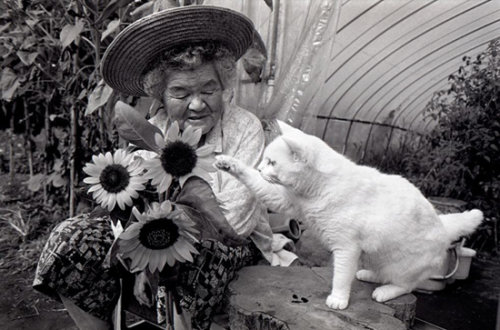 Tình bạn cảm động của bà lão 88 tuổi và mèo Grand19-jpg_035558