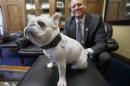 In this photo taken Feb. 11, 2015, Rep. Jeff Denham, R-Calif. poses with Lily, his 15-pound French bulldog in his office on Capitol Hill in Washington. It all began with Lily, a 15-pound snowball of a French bulldog with dark mahogany eyes, a wrinkly nose and a penchant for jumping on furniture and laps so that she can get closer to her many human visitors. She and her owner, Rep. Jeff Denham of California, take the occasional coast-to-coast plane ride together. But when he tried to take her on Amtrak a couple years back, he learned that only service dogs were allowed aboard. It's a policy he's been trying to change ever since, and he appears to be gaining momentum. (AP Photo/J. Scott Applewhite)
