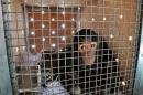Four-year-old chimpanzee Manno, rescued by Animals Lebanon from a zoo in Duhok, Iraq after being trafficked from Syria, sits in a transport crate before his flight to Sweetwaters Chimpanzee Sanctuary in Kenya