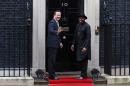 British Prime Minister David Cameron (L) welcomes Nigerian President Goodluck Jonathan (R) for a meeting in London on February 11, 2013