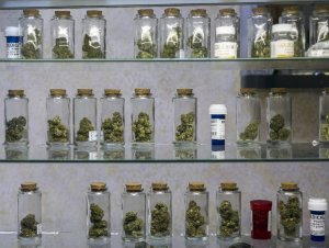 FILE - This May 14, 2013 file photo shows medical marijuana …