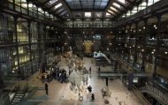 Galeria do Museu Nacional de História Natural, em Paris