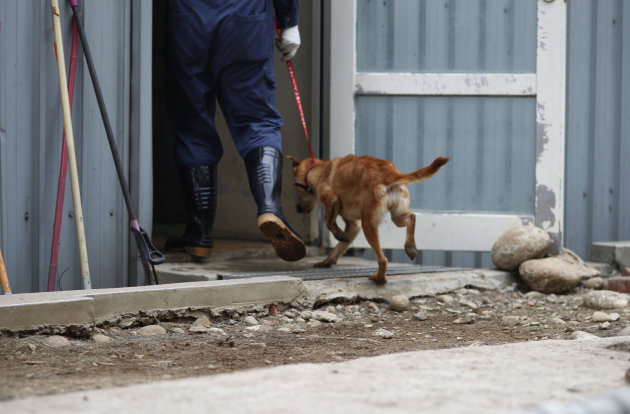 In this photo taken on Monday, April 9, 2012, a dog is taken to be killed by lethal injection at a government-run shelter in Taoyuan, northern Taiwan.  In an ongoing project, Taiwanese photographer To