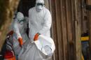 Liberian Red Cross health workers wearing protective suits carry the body of a victim of Ebola on September 10, 2014 in a district of Monrovia