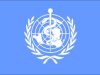 Ο Παγκόσμιος Οργανισμός Υγείας για τη χρήση χημικών όπλων στη Συρία