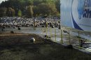 Bomberos caminan entre bombonas de butano que permanecen esparcidas por el suelo en los alrededores de la compañía de gas Blue Rhino en Tavares, Florida (Estados Unidos). EFELlamas y humo, después de la explosión producida en una planta de gas de la compañía Blue Rhino en Tavaras, Florida (Estados Unidos). EFE