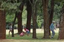 in this photo taken Monday, June 3, 2013, a family plays underneath the indigenous msasa trees at the Royal Harare Golf Club. Club manager Ian Mathieson says a program to cut down 
