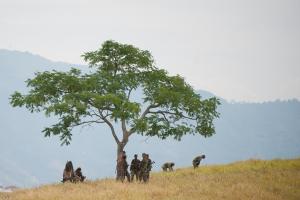 Colombia&#39;s army has spent the past five decades &hellip;