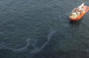 La petrolera británica, que operaba la plataforma Deepwater Horizon, aceptó declararse culpable de 14 cargos penales, incluida la muerte de 11 de sus empleados en aquella catástrofe de proporciones no vistas antes. EFE/Archivo