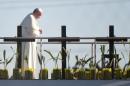Pope Francis prays near crosses on a platform in Mexico marking those who died trying to cross the border at El Paso, Texas on February 17, 2016
